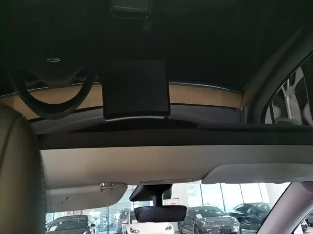 Tesla Model Y 2021 2021 Standard Range Rear-Wheel Drive