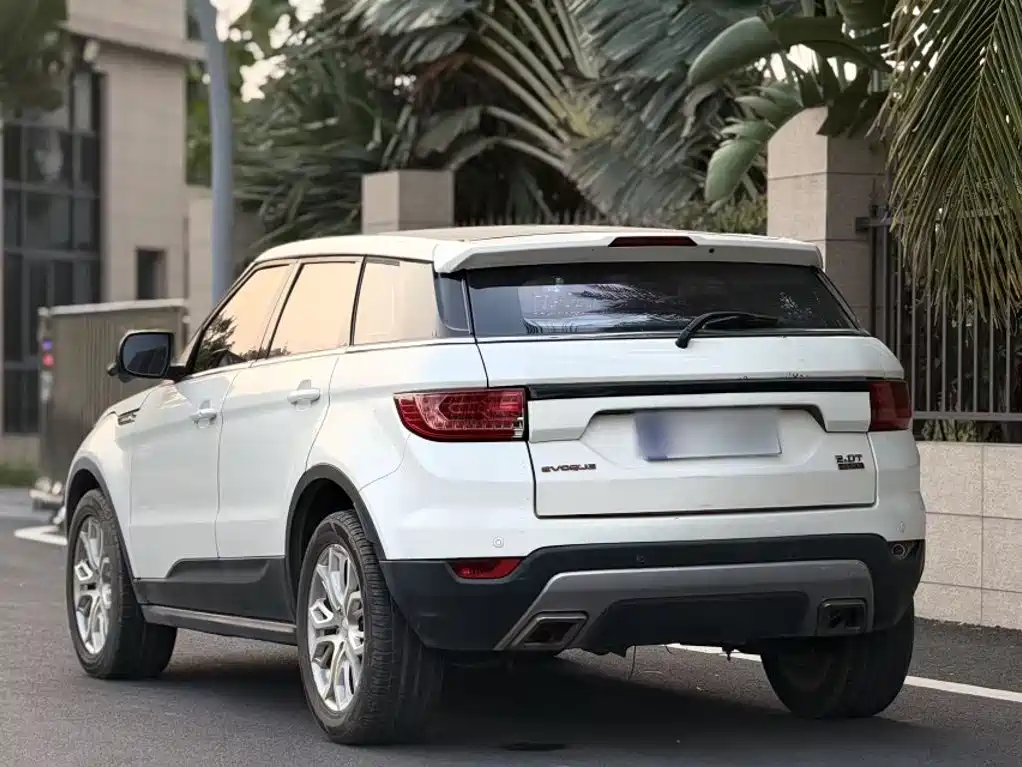 Фото 24 - Landwind X7