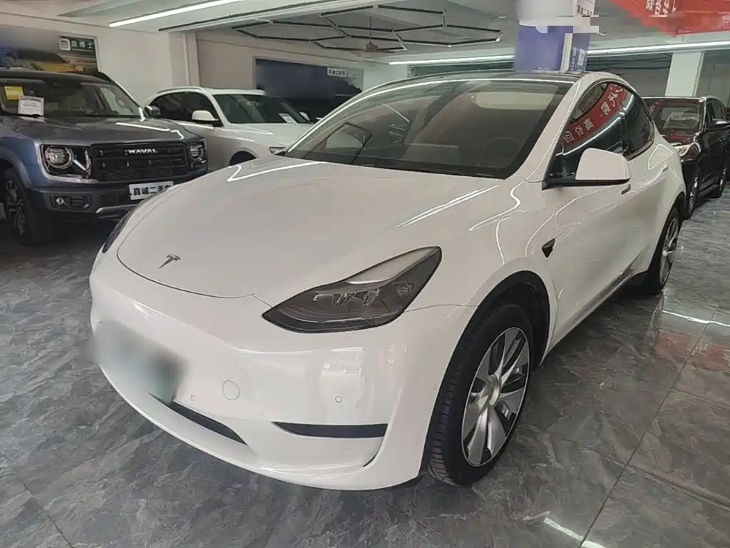 Tesla Model Y 2021 Standard Range Rear-Wheel Drive