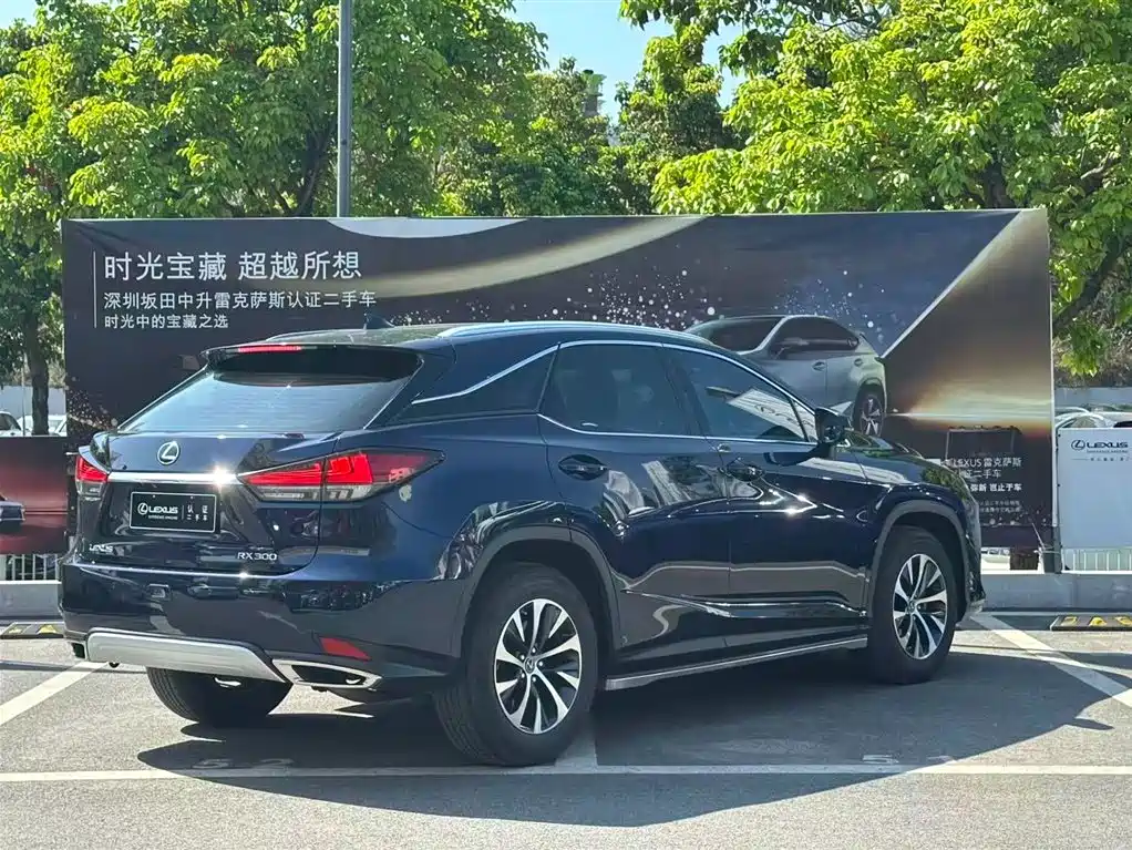 Lexus RX 2020 300 2WD Elite Edition China V фото 13