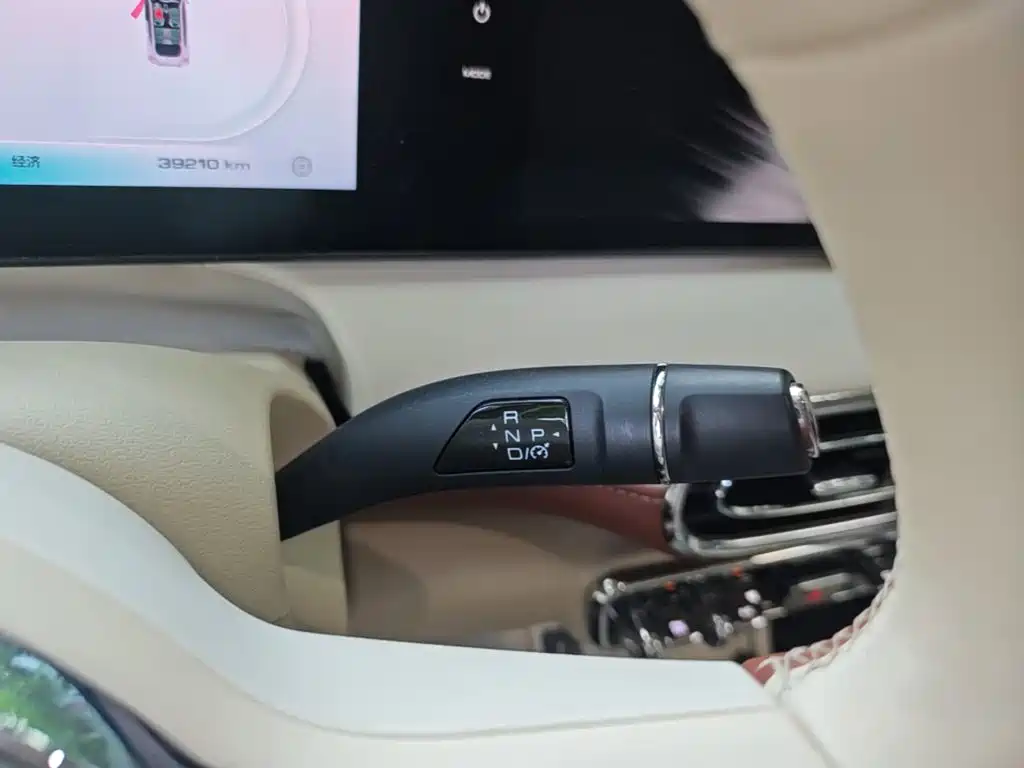 Ora Ballet Cat 2024 2023 401km Premium Model