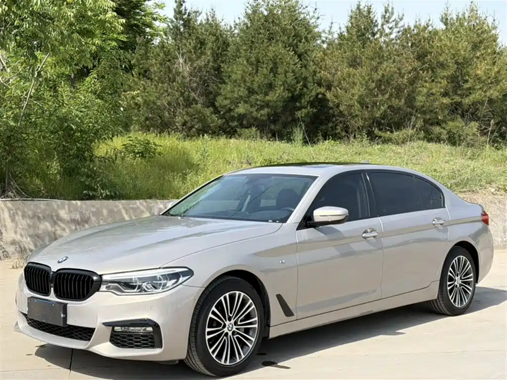 BMW 5 Series 2018 Facelift 530Li Exclusive Luxury Package фото 2