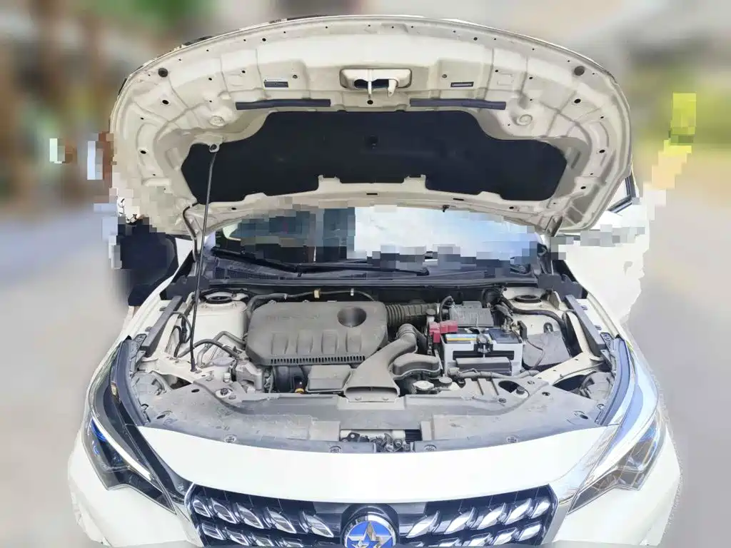 Venucia D60 2019 2019 1.6L XL CVT Smart Connect Elite Edition
