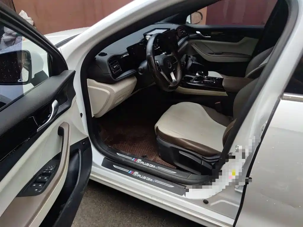 BYD Qin PLUS 2023 Champion Edition DM-i 55KM Leading фото 14