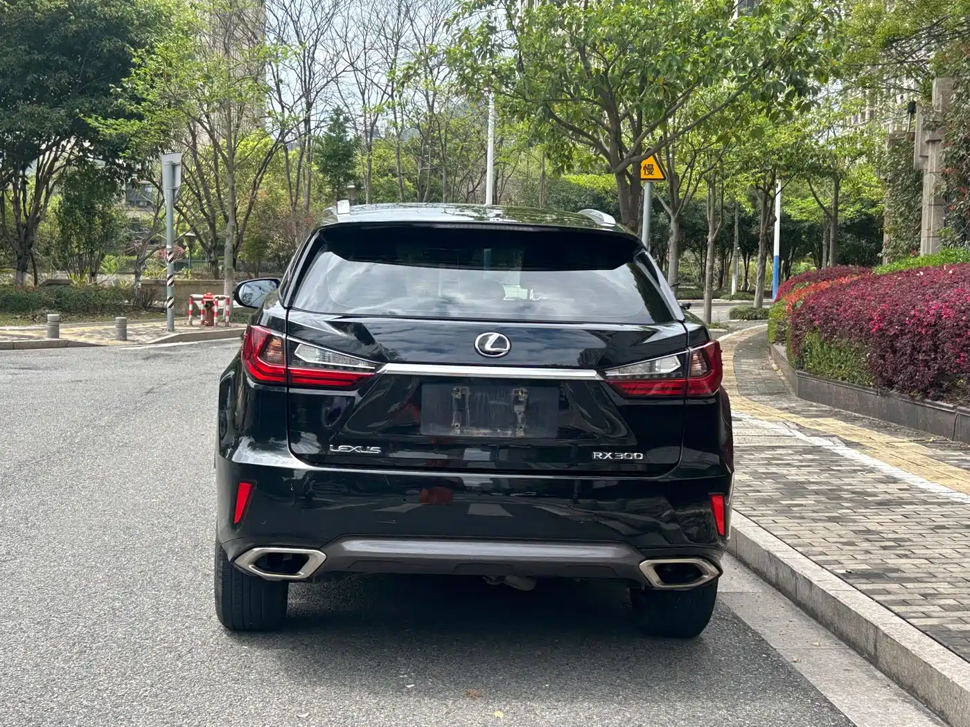 LEXUS RX