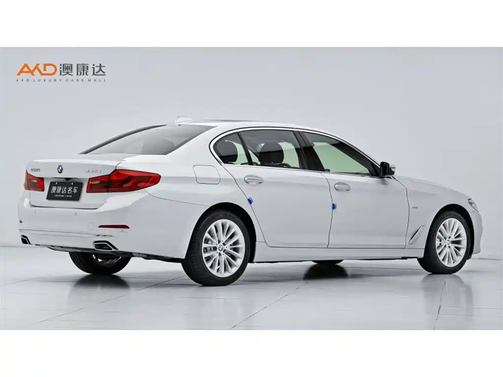 BMW 5 Series 2018 Facelift 530Li Leading Luxury Package фото 3