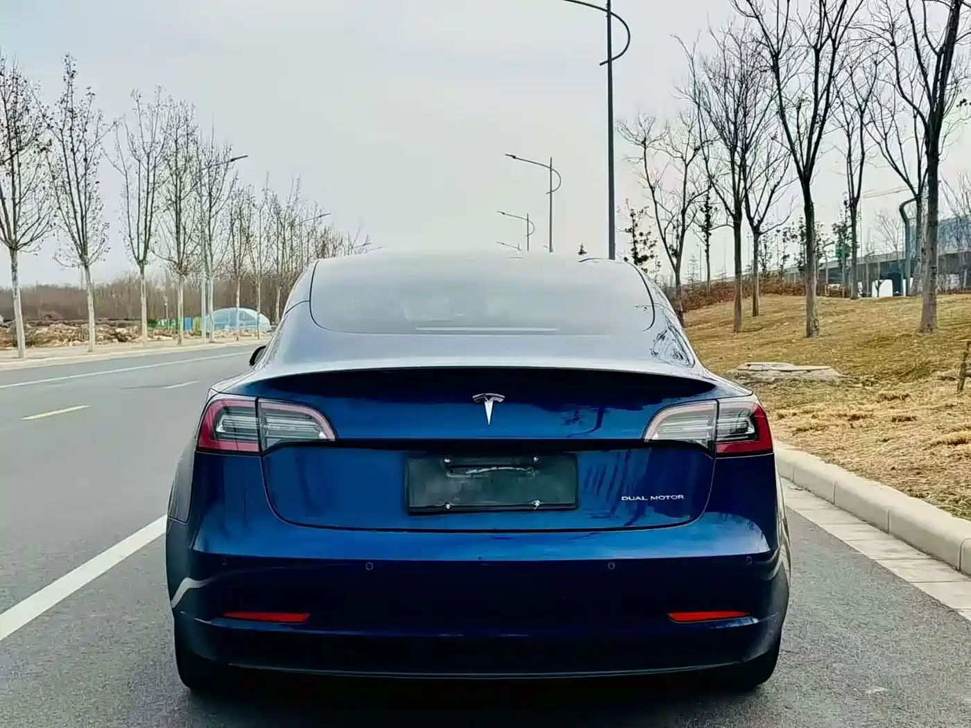 TESLA MODEL 3 (IMPORTED)