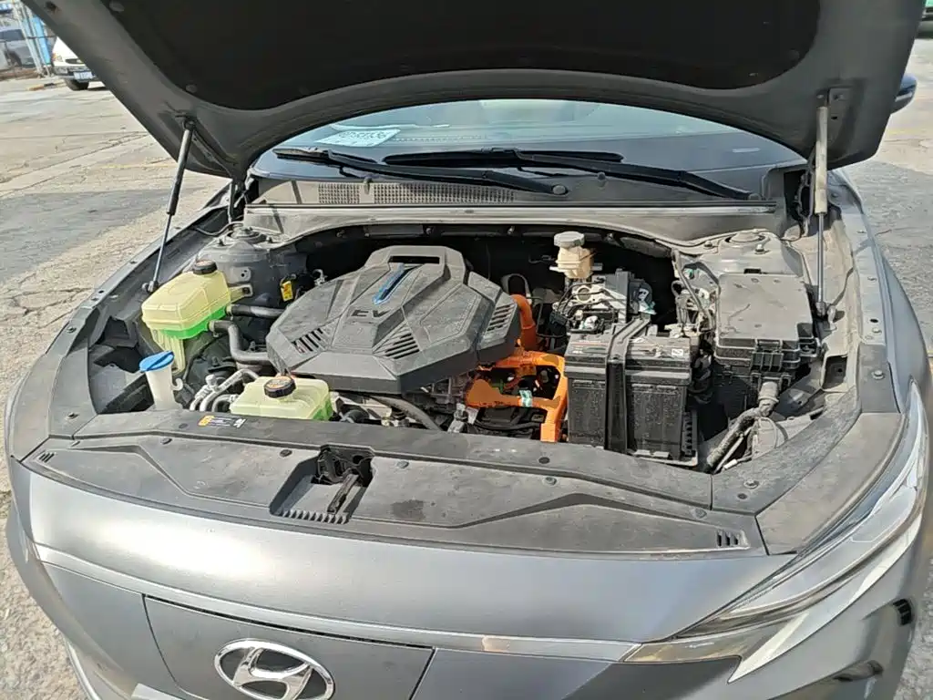 Hyundai Fista EV 2021 2020 Model GLX Smart Edition