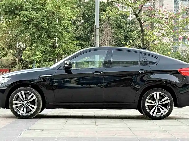 BMW X6 M 2010 X6 M фото 6
