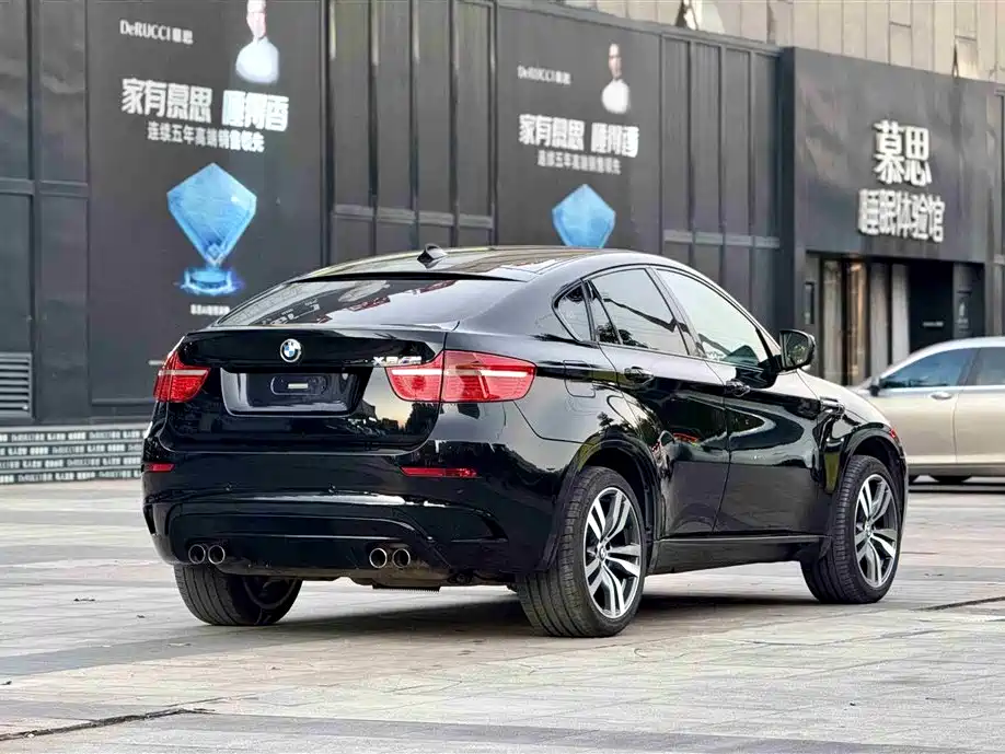 BMW X6 M 2010 X6 M фото 3
