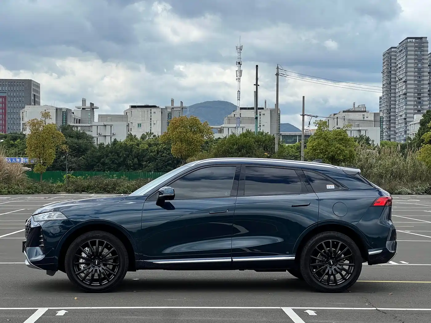 WEI PAI WEI BRAND MOCHA