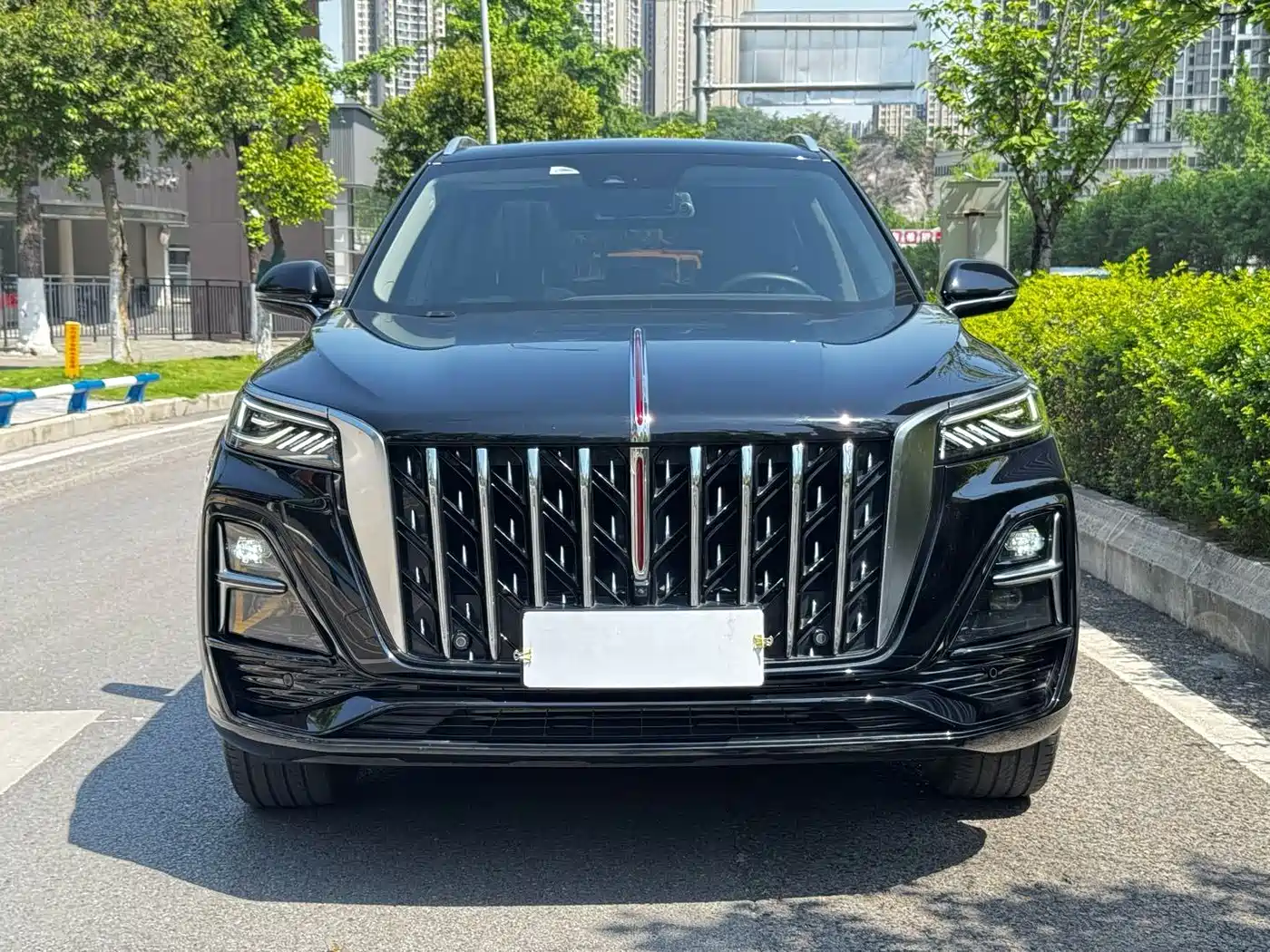Hongqi HS5 2023 2.0T AWD Flag Enjoy Pro Edition фото 2