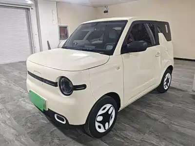 Geely Panda