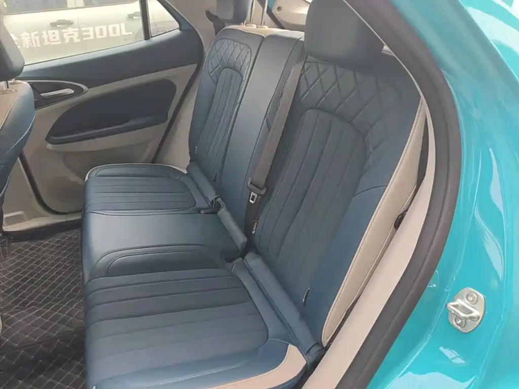 Ora Good Cat 2025 2025 430km Honor Edition