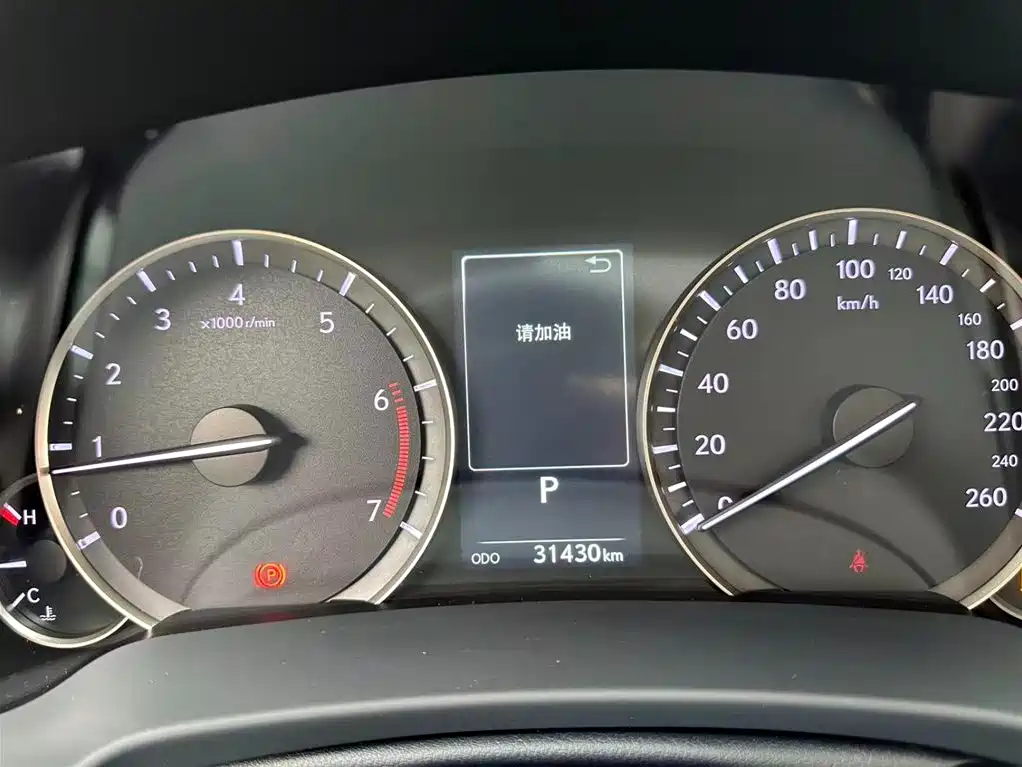 Lexus RX 2020 300 AWD Elegance Edition China V фото 6