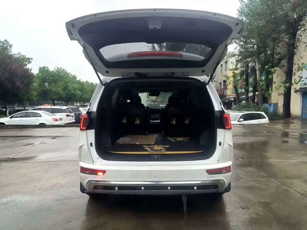 Hyundai Custo 2024 2024 270TGDi LUX Premium Edition