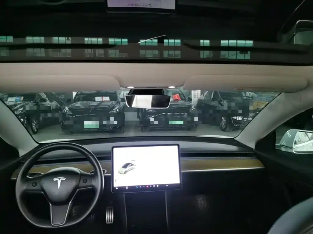 Tesla Model 3 (Import) 2019 2019 Long Range RWD Version