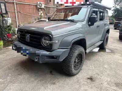 Tank 300