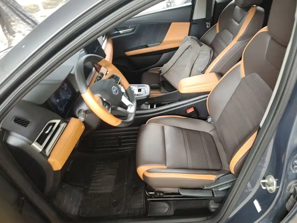 BYD e2 2021 2020 Upgraded Long Range Luxury