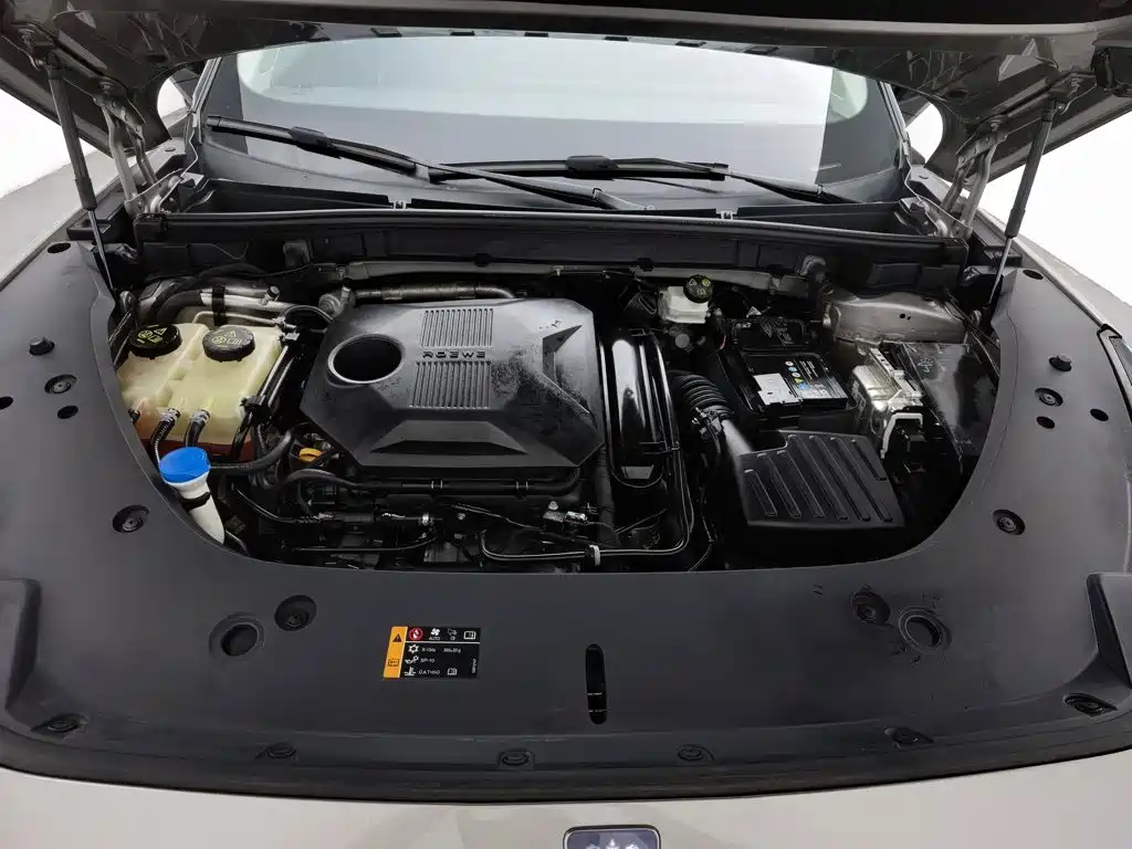 Фото 6 - Roewe RX5