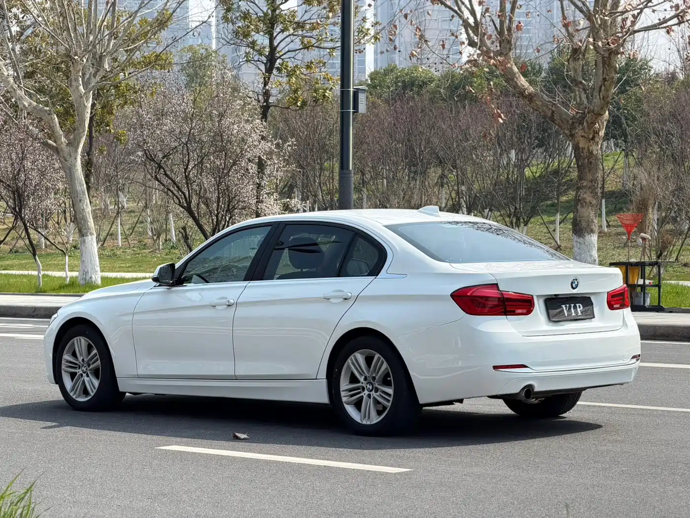 BMW 3 Series 2016 320Li Progressive фото 6