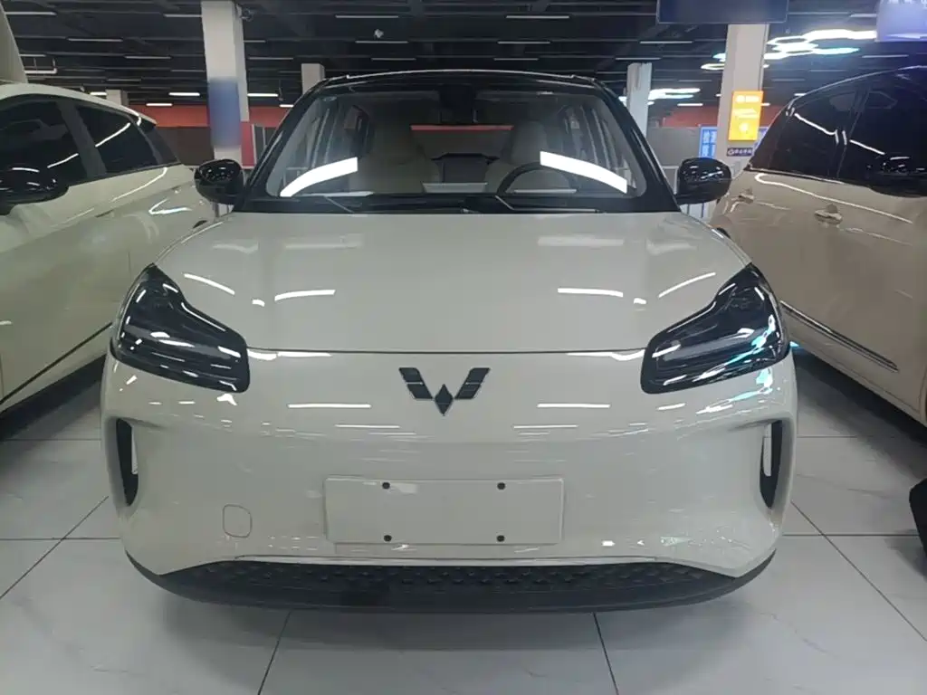 2026 Wuling Motors Wuling Binguo PLUS
