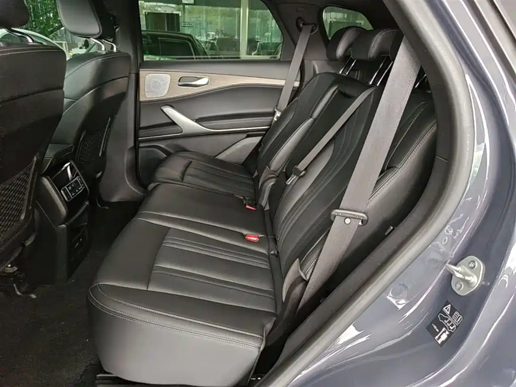 Denza X 2020 PHEV Sport Edition фото 17