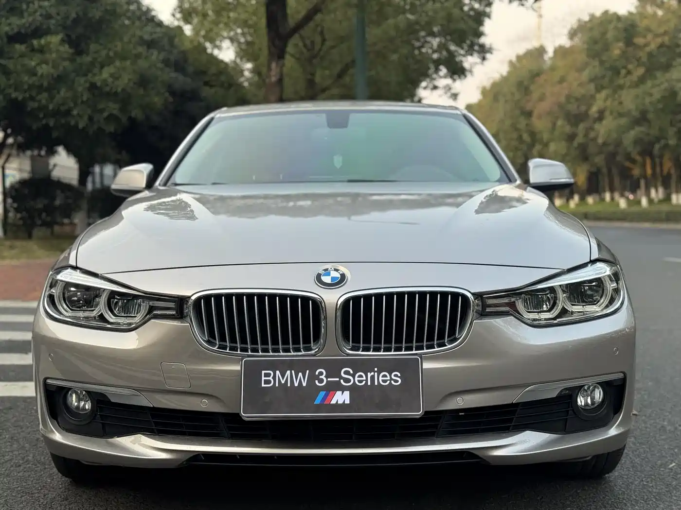 BMW 3 Series 2019 320Li Fashion Type фото 2