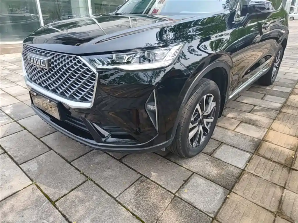 Haval H6 2022 3rd Gen 1.5T Auto 2WD Pro фото 24