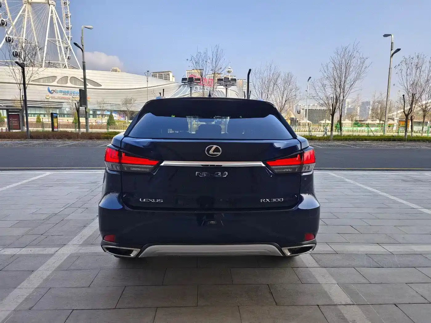 LEXUS RX