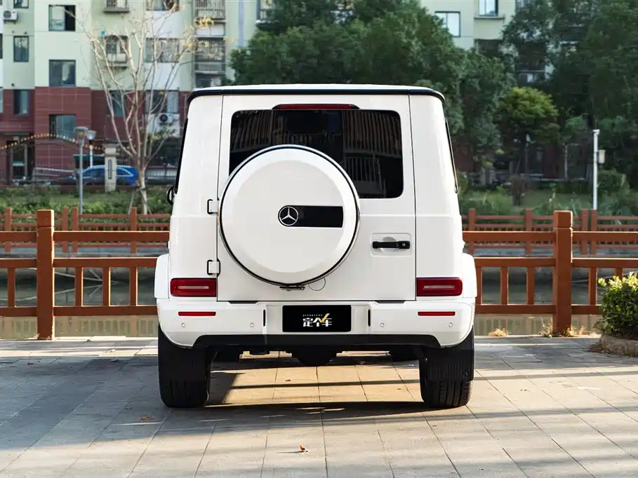 Mercedes-Benz G-Class 2023 G 350 фото 6