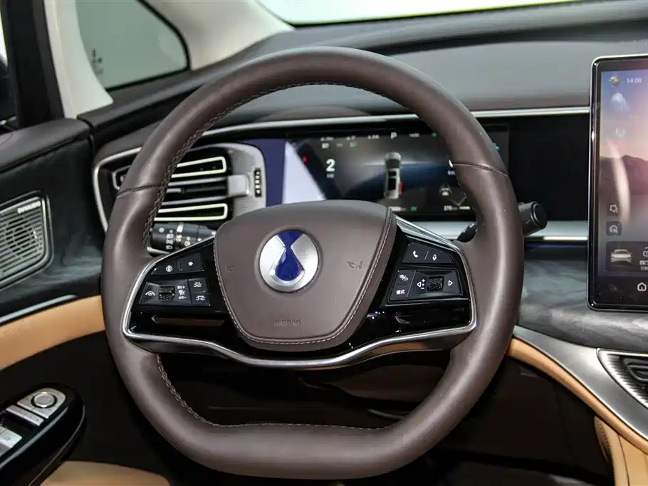 Denza D9 2024 DM-i 980 AWD Premium фото 15