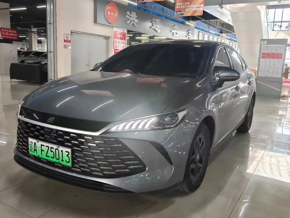 BYD Qin PLUS DM-i Smart Drive 55KM Leading