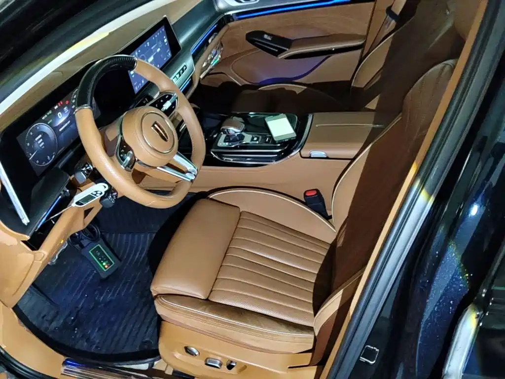 Photo 15 - Hongqi H9