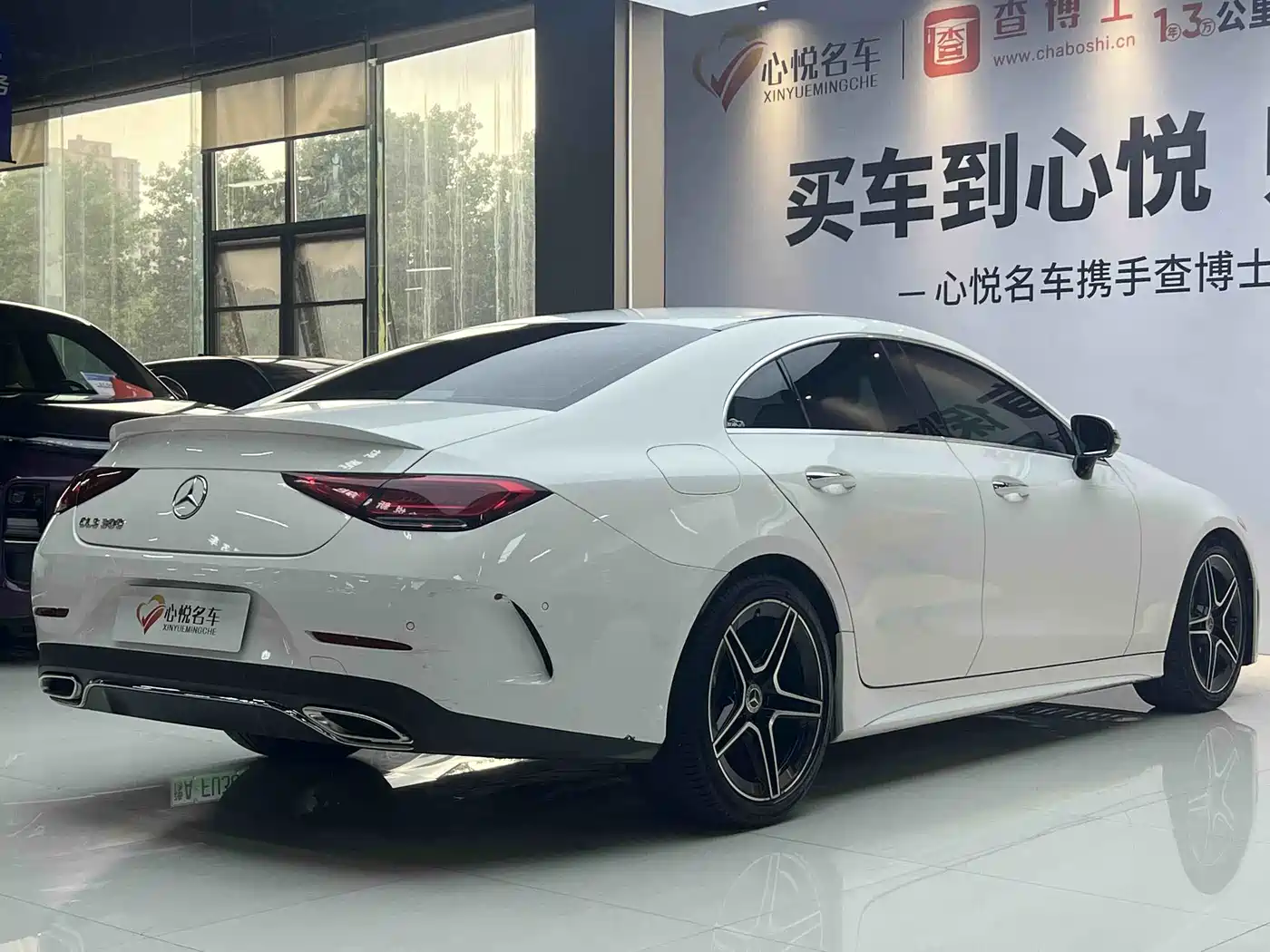 Mercedes-Benz CLS 2022 CLS 300 Luxury фото 12