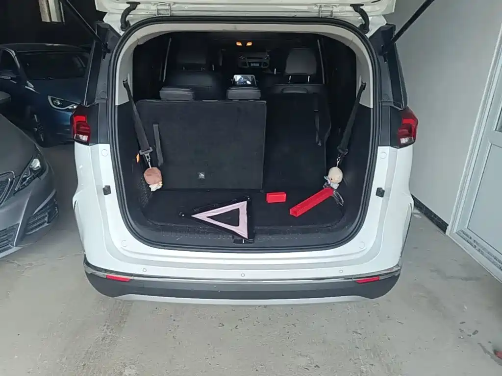 Фото 19 - Maxus Maxus G50