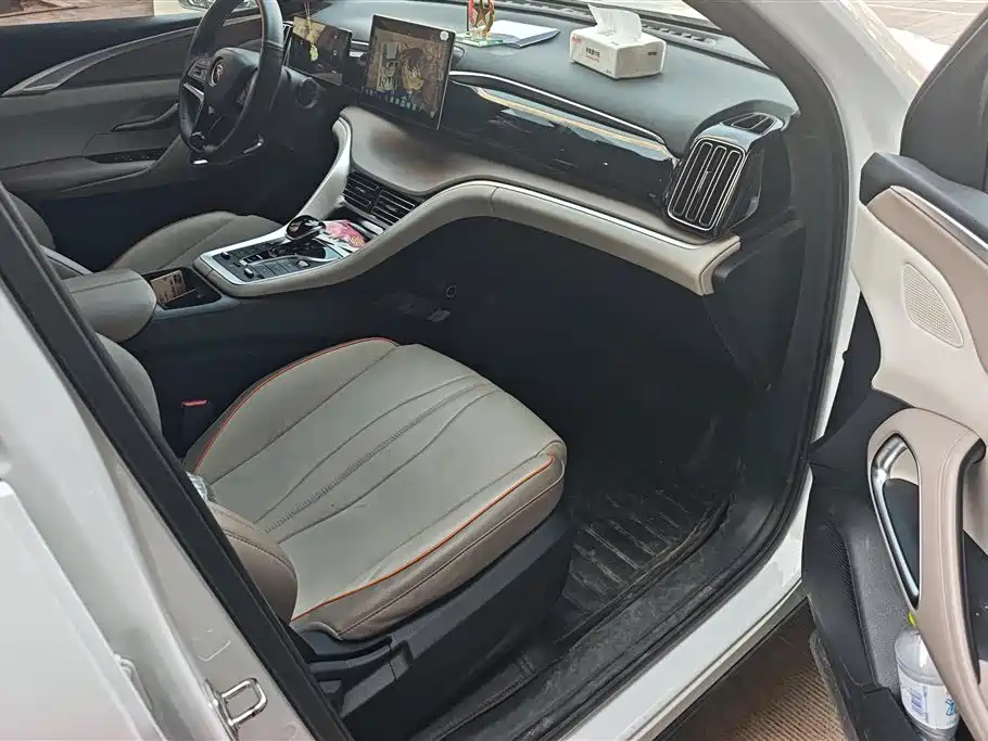 BYD SONGJIANG NEW ENERGY