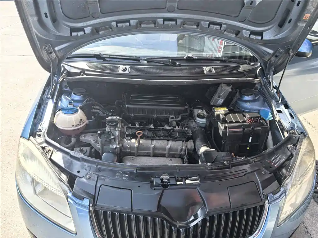Škoda Fabia 2011 1.4L Automatic Crystal Elegance Edition фото 17