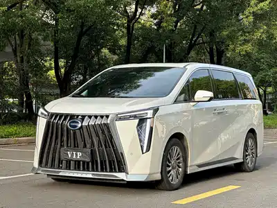 Trumpchi M8