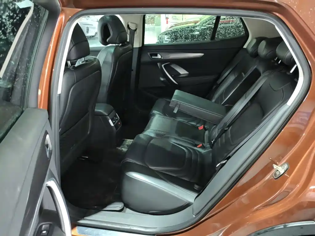 DS 6 2017 2016 1.6T Luxury THP160
