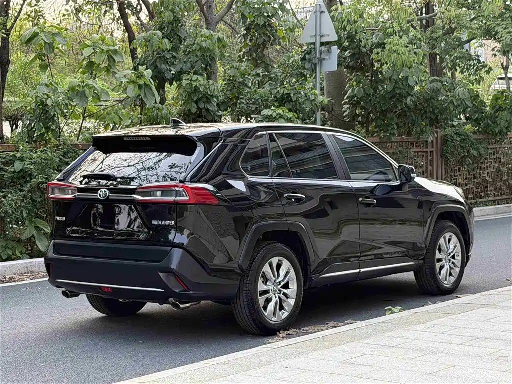Toyota Wildlander 2020 2.0L CVT 2WD Luxury Edition фото 4