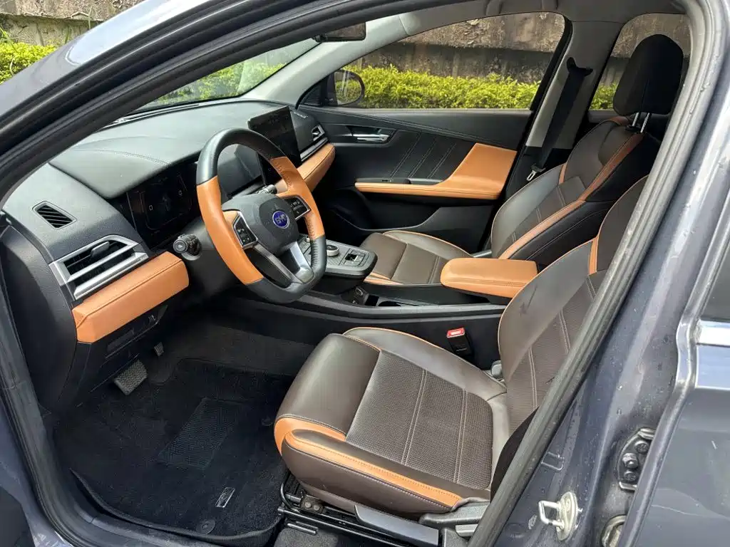 Фото 7 - BYD e2