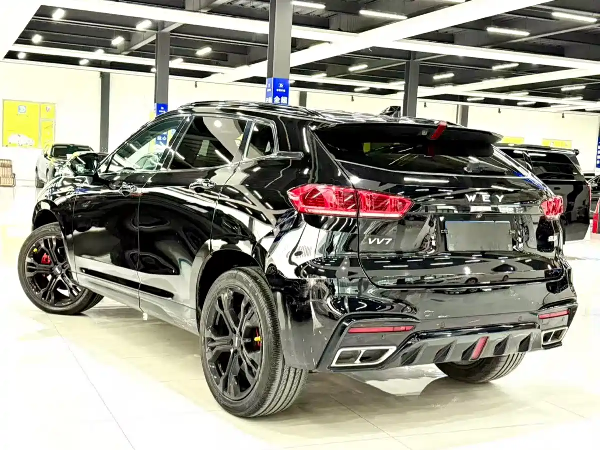 WEI PAI WEI BRAND VV7