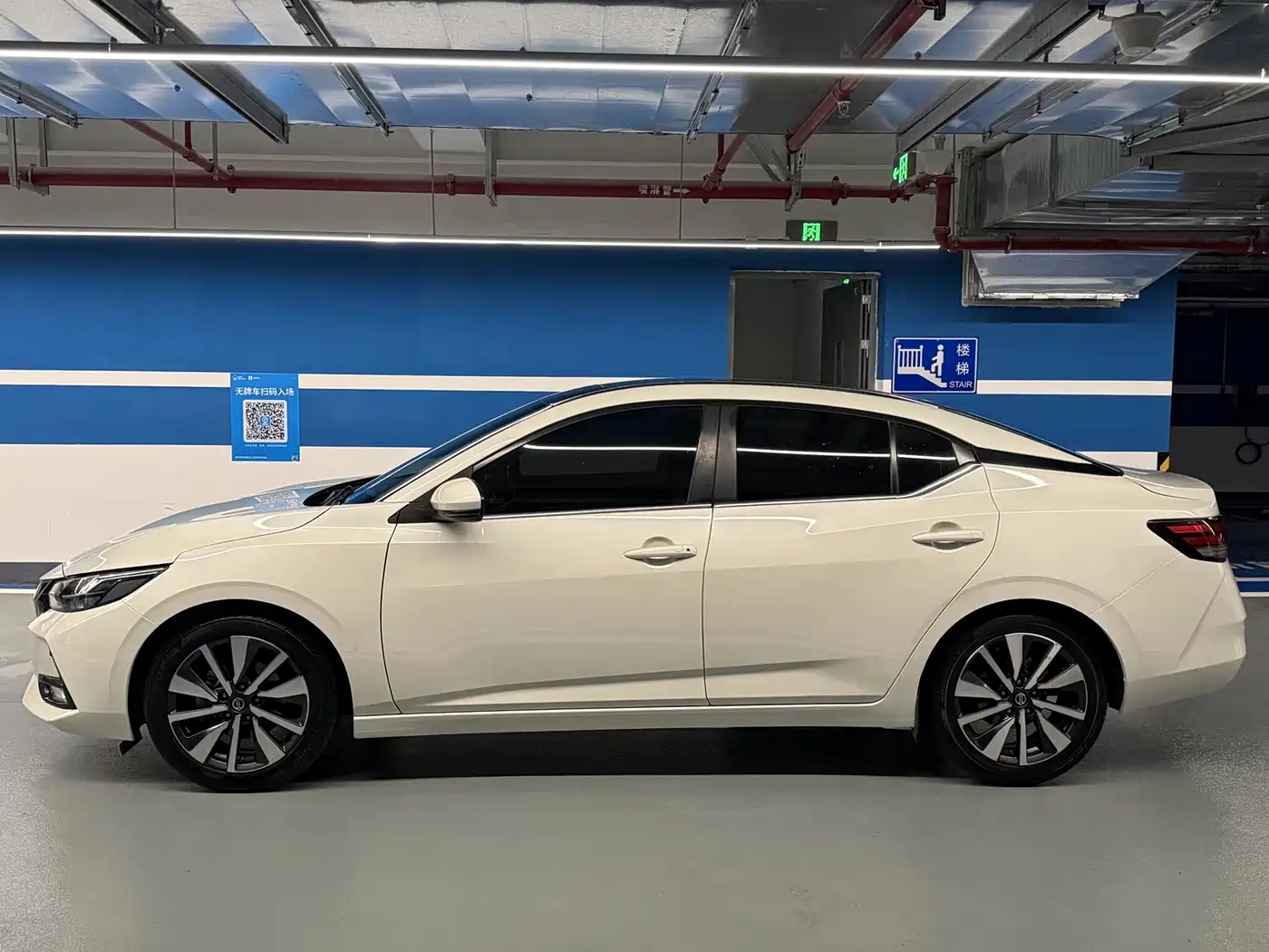 Фото 4 - Nissan Sylphy