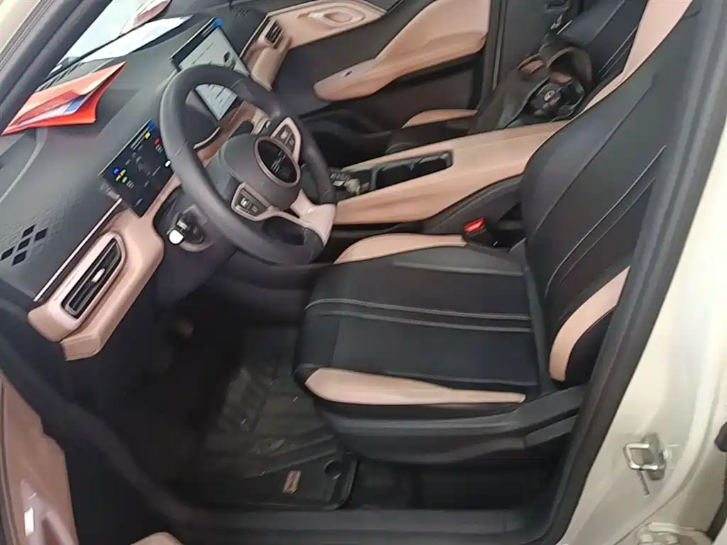 BYD Seagull 2025 305km Vitality фото 15