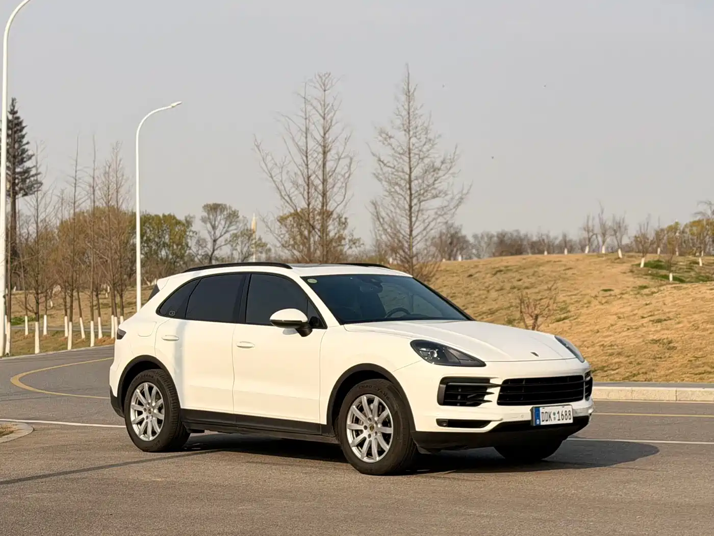 Porsche Cayenne 2018 Cayenne 3.0T фото 3