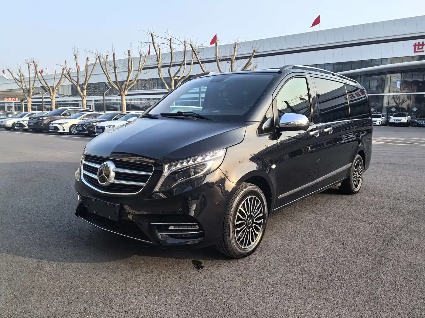 Mercedes-Benz Vito 2018 2.0T Elite Edition 7-seater China VI