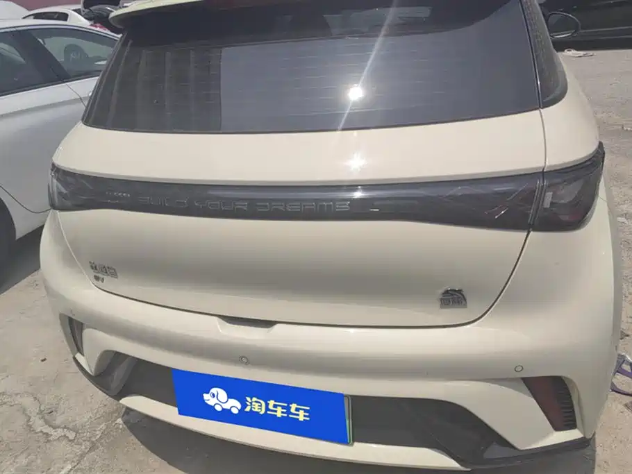 BYD Dolphin 2021 Model 405km Fashion Edition фото 4
