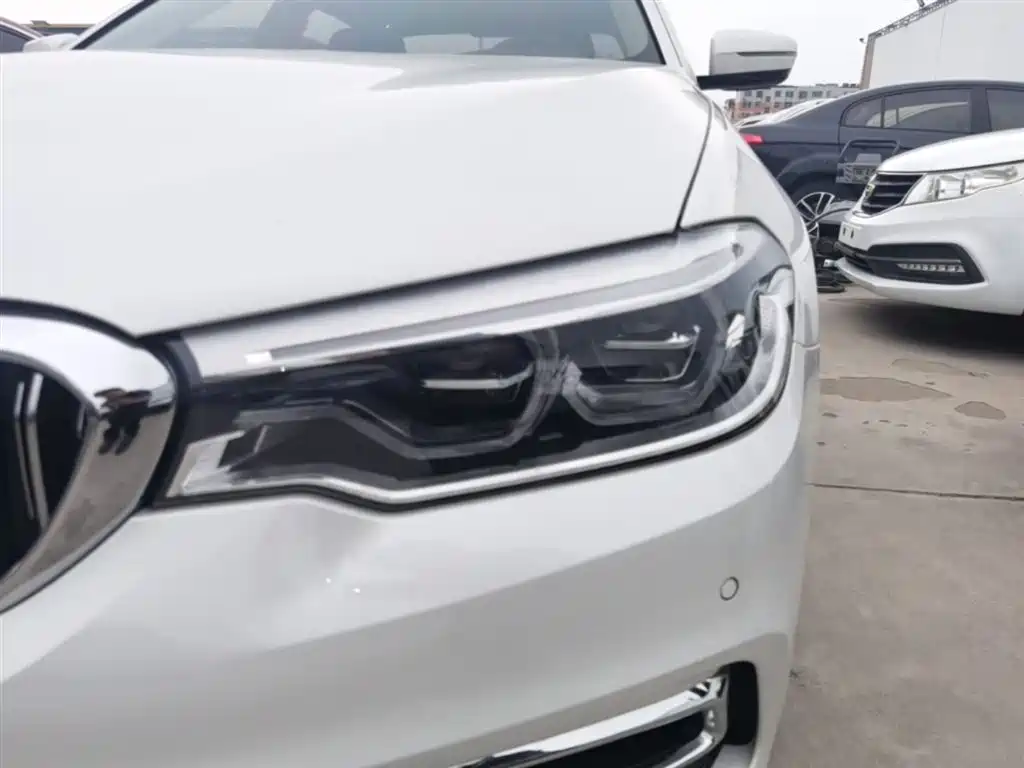 BMW 5 Series 2019 530Li Premium Luxury Package фото 24