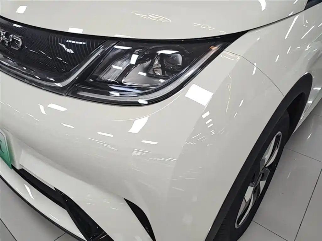 BYD Dolphin 2025 420km Freedom Edition фото 24